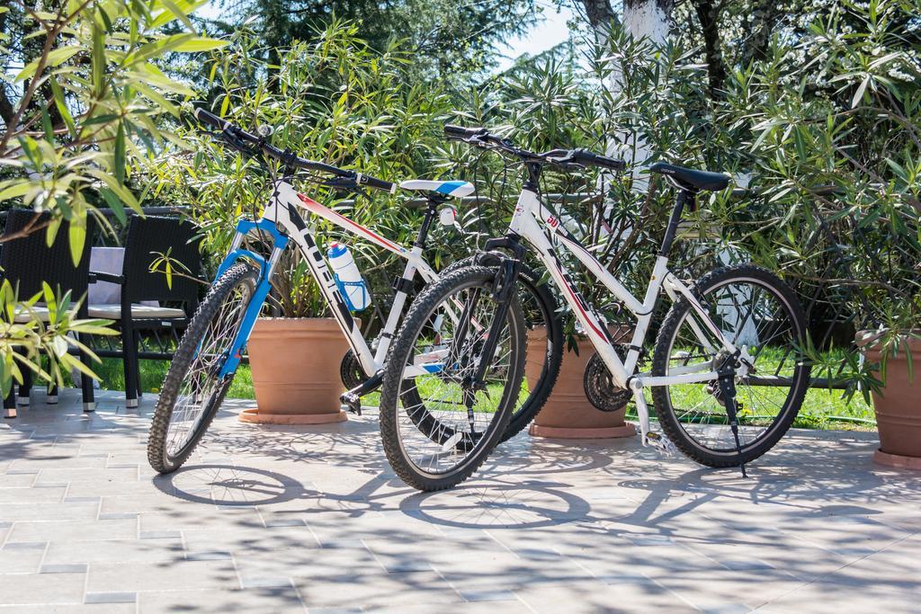 Sandi - Free Parking 4*